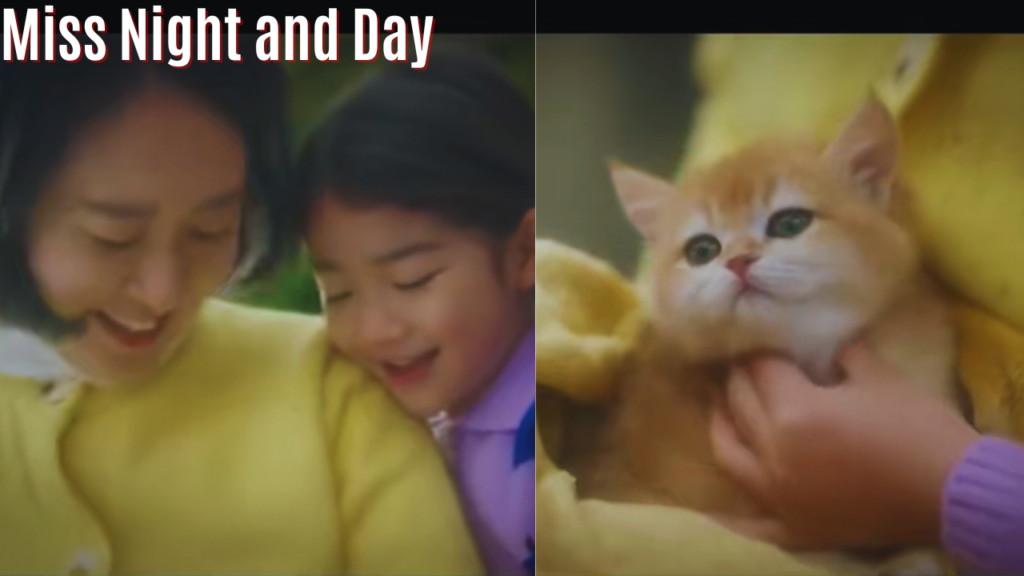 Miss Night and Day episode 2 , Lee Mi Jin wakes up from a vivid dream of a cat playing with her aunt. Upon waking, she sees the same cat and follows it, only to find a photo with news of her aunt’s disappearance.