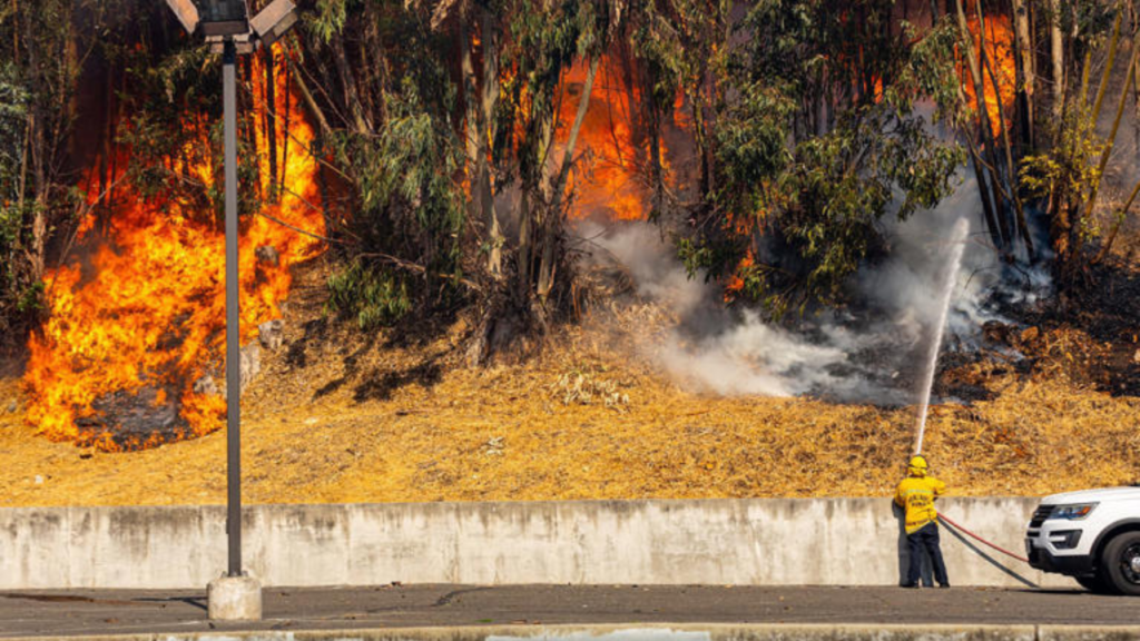 Oakland Hills Fire in California Damages Homes and Triggers Evacuations